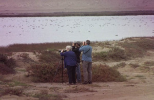 Read more about the article Lima: Lomas de Lachay and Paraiso Lagoon