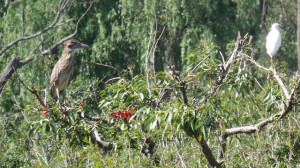 Read more about the article North Peru 3: Chiclayo – Tarapoto
