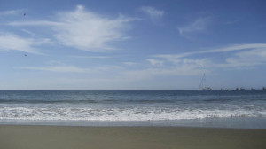 Read more about the article North Peru 5:  Pelagic in North of Peru