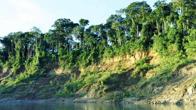 Read more about the article South Peru 1: Manu Biosphere Reserve, Included with Machu Picchu
