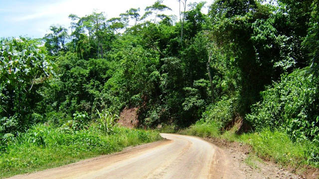 Read more about the article Central Peru 4: Santa Eulalia – Marcopomacocha – Junin Lake – Carpish – Unchong – Satipo