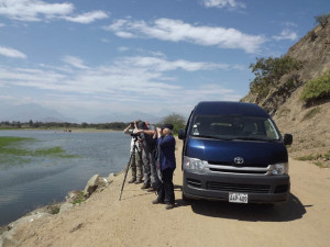 Read more about the article North Peru: Pomac and Chaparri