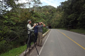 Read more about the article North Peru: Tarapoto