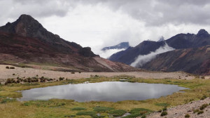 Read more about the article Peru Lima 7: Ticlio – Milloc and Marcopomacocha Area