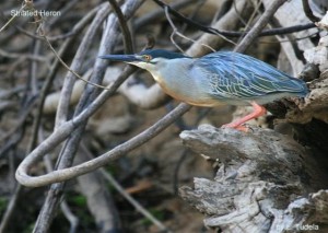 Read more about the article North Peru 4: Tarapoto – Cajamarca